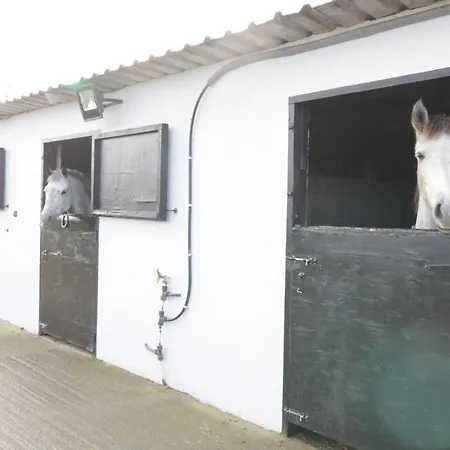 Kilronan Ranch And Tuition Centre Apartman Roscommon