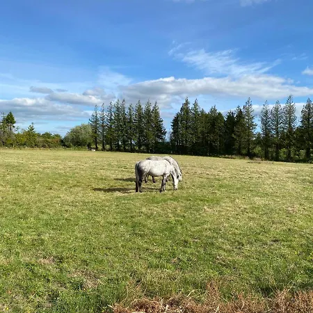 Kilronan Ranch And Tuition Centre Apartman *