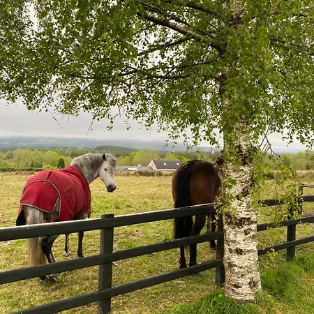 Kilronan Ranch And Tuition Centre Apartman Roscommon